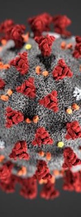 20200205 Corona CDC Alissa Eckert MS